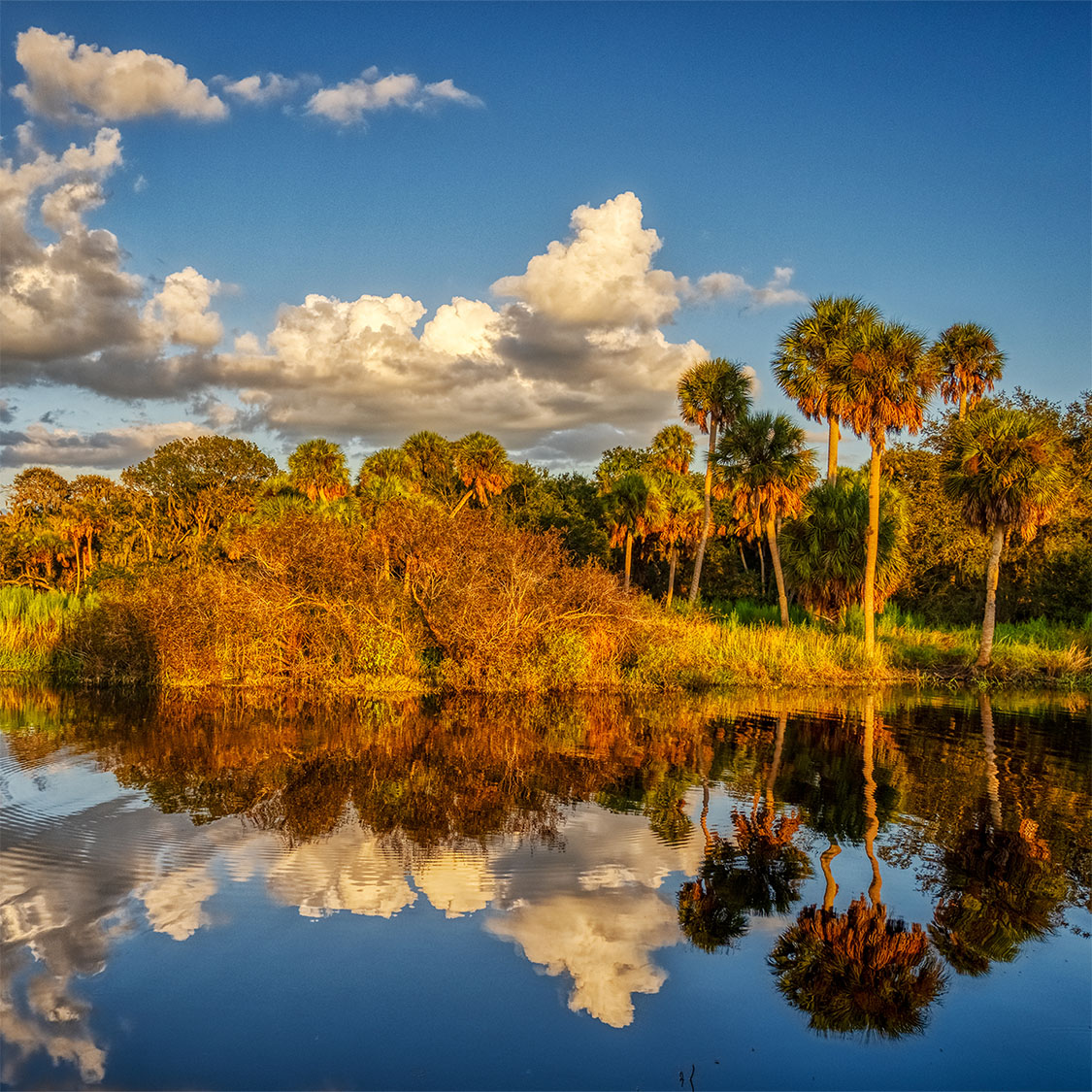 Myakka City pest control services