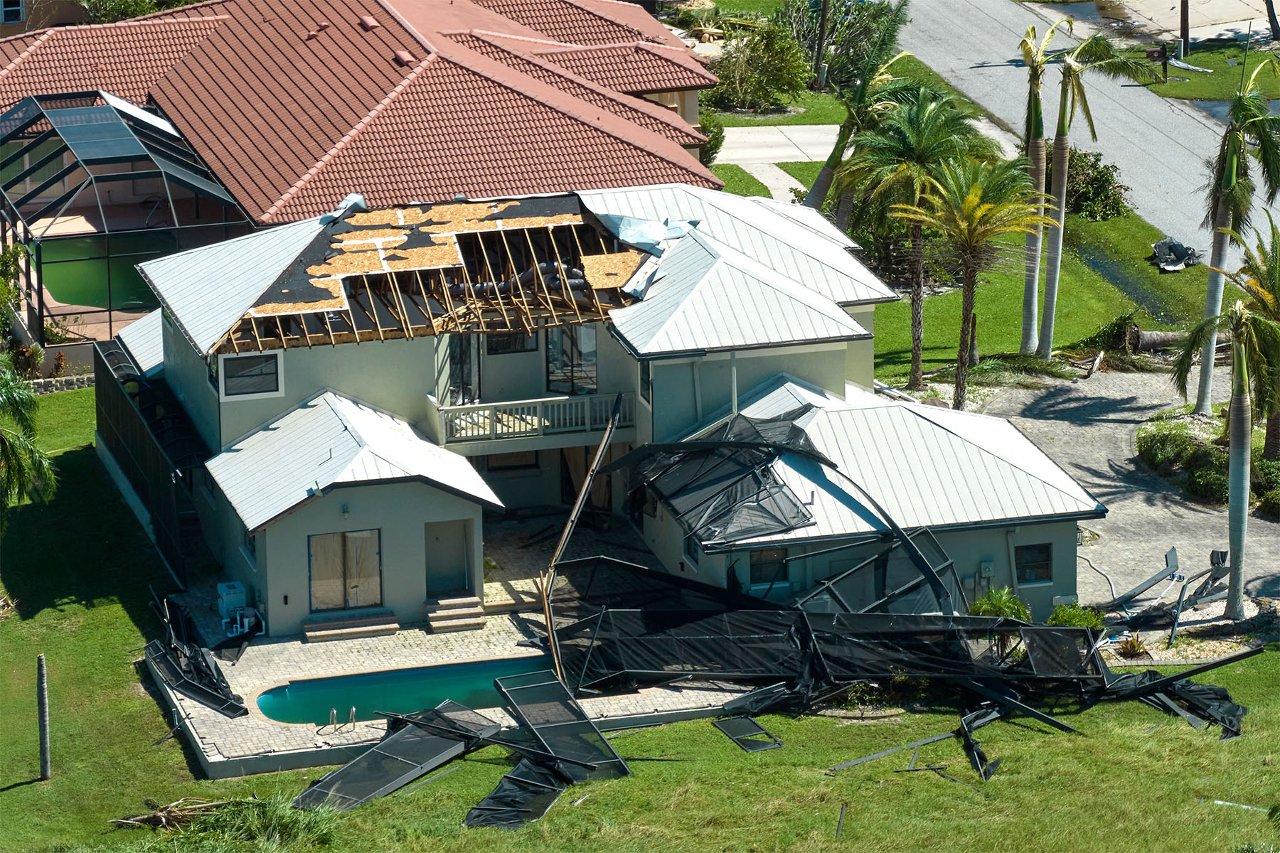 pest control after storm